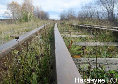 В Челябинской области локомотив и три вагона с пшеницей сошли с рельсов - nakanune.ru - Челябинская обл.