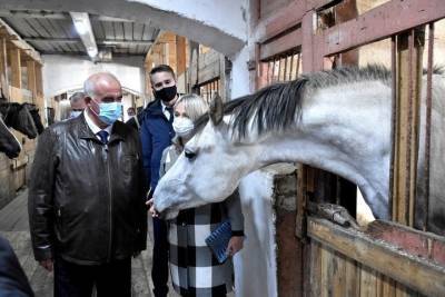 Сергей Ситников - Губернатор Костромской области Сергей Ситников решил развивать конезавод «Медведки» - kostroma.mk.ru - Костромская обл.