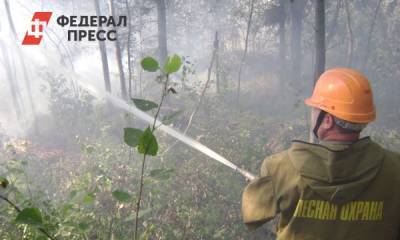 Лесных пожаров в Красноярском крае стало в 10 раз меньше - fedpress.ru - Красноярский край - Красноярск