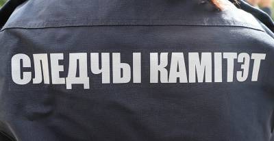 Следователи ищут очевидцев ДТП в Мостовском районе, жертвами которого стали две девочки - grodnonews.by - Белоруссия