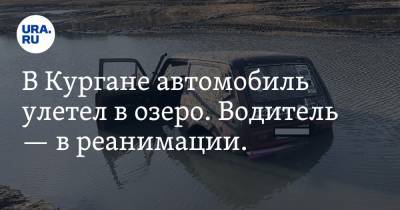 В Кургане автомобиль улетел в озеро. Водитель — в реанимации. Фото - ura.news - Курган