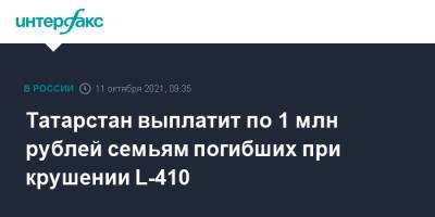 Татарстан выплатит по 1 млн рублей семьям погибших при крушении L-410 - interfax.ru - Москва - респ. Татарстан