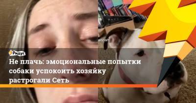 Не плачь: эмоциональные попытки собаки успокоить хозяйку растрогали Сеть - ridus.ru - Россия