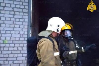 Ночью пожарные остановили огонь на пилораме в Смоленском районе - mk-smolensk.ru - район Смоленский