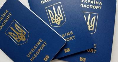 Евгений Енин - Кабмин готовится представить законопроект о множественном гражданстве - dsnews.ua - Украина - Гражданство