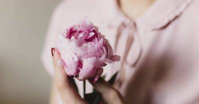 Первая экоинициатива в Украине по сбору цветов и мусора: от Arka Flower shop - skuke.net - Украина - Новости - Экология