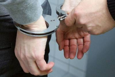 В Янино отец все лето насиловал свою 12-летнюю дочь - mk.ru - Ленинградская обл. - р-н Всеволожский