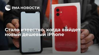 Apple Iphone - Стало известно, когда выйдет новый дешевый iPhone - ria.ru - Москва