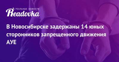 В Новосибирске задержаны 14 юных сторонников запрещенного движения АУЕ - readovka.news - Россия - Новосибирск
