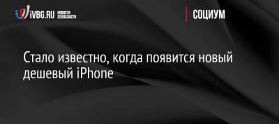 Стало известно, когда появится новый дешевый iPhone - ivbg.ru - Россия - Украина