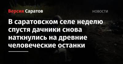 В саратовском селе неделю спустя дачники снова наткнулись на древние человеческие останки - nversia.ru - Саратов