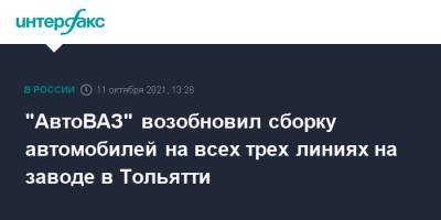 Сергей Зайцев - "АвтоВАЗ" возобновил сборку автомобилей на всех трех линиях на заводе в Тольятти - interfax.ru - Москва - Россия - Sandero - county Logan - Тольятти