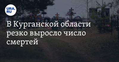В Курганской области резко выросло число смертей - ura.news - Курганская обл.