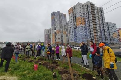 Толстянку, астильбу и пузыреплодник высадили на субботнике в Петрозаводске - karel.mk.ru - Петрозаводск - Экология