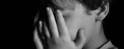 В Бердске вынесли приговор отчиму, бросившему на пол 6-летнего ребенка - runews24.ru - Россия - Новосибирская обл. - Бердск