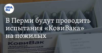 В Перми будут проводить испытания «КовиВака» на пожилых - ura.news - Москва - Россия - Пермь - Новосибирская обл.