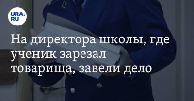 На директора школы, где ученик зарезал товарища, завели дело - ura.news - Россия - Махачкала