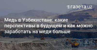 Медь в Узбекистане: какие перспективы в будущем и как можно заработать на меди больше - gazeta.uz - Узбекистан