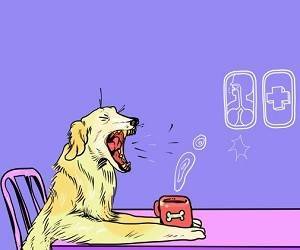 Откуда берётся сухой кашель и как его лечить - goodnews.ua