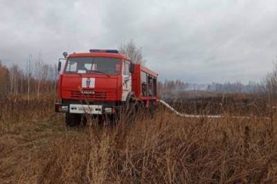 Пожарные локализовали тление торфяника на юге Екатеринбурга - aif.ru - Россия - Екатеринбург - Хабаровский край - Курганская обл.