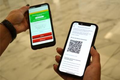 Михаил Развожаев - В Севастополе введут режим QR-кодов для посещения общественных мест - aif.ru - Севастополь