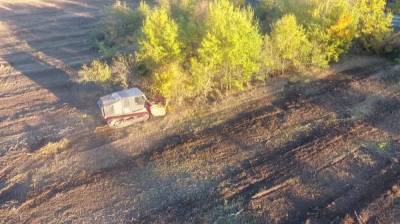 В Воронеже активисты сообщили о вырубке отданных на сохранение деревьев в яблоневом саду - vestivrn.ru - Воронеж