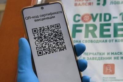 Костромичи запасаются QR-кодами и сомневаются в их эффективности - kostroma.mk.ru - Кострома