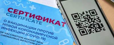 Анастасия Худченко - В Приморье введут QR-коды для посещения общественных мест - runews24.ru - Приморье край