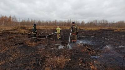 В Екатеринбурге локализовали пожар на торфянике, из-за которого возник смог - znak.com - Россия - Екатеринбург - Свердловская обл.