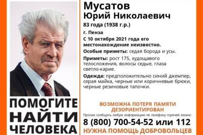 В Пензенской области разыскивают без вести пропавшего 83-летнего пенсионера - mk.ru - Пензенская обл. - Пенза