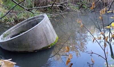 Свалка и горячая вода: что обнаружили экоактивисты в логу реки Тюменки? - nashgorod.ru - Тюмень - Экология