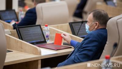 Депутаты ЕГД учатся жать на кнопки для голосования - newdaynews.ru