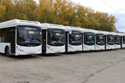 Власти пообещали 80 автобусов на маршруты между Чебоксарами и Новочебоксарском - cheb.mk.ru - респ. Чувашия - Чебоксары - Новочебоксарск