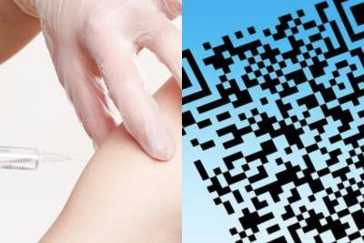 В Новосибирской области вводят обязательную вакцинацию от СOVID-19 и QR-коды - sib.fm - Новосибирск - Новосибирская обл.