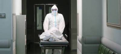 В России зафиксирован новый рекорд по смертности от коронавируса за сутки - stolicaonego.ru - Россия