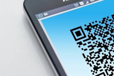 Более 3 тысяч человек подписали петицию об отмене QR-кодов в Псковской области - mk-pskov.ru - Россия - Псковская обл.