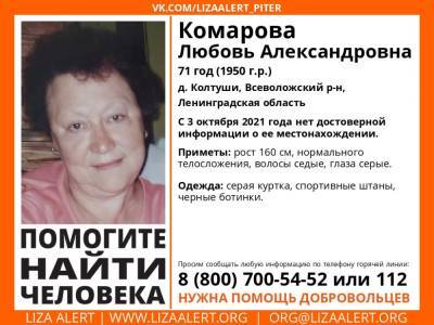 Элизабет Алерт - В Колтушах без вести пропала 71-летняя женщина - ivbg.ru - Украина - Ленобласть