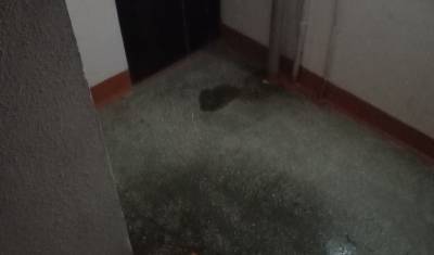 В Тюмени дом, пострадавший от пожара, заливает водой - nashgorod.ru - Тюмень
