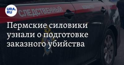 Пермские силовики узнали о подготовке заказного убийства - ura.news - Пермский край - Кунгур