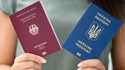 Евгений Енин - В Украине могут ввести двойное гражданство: назван срок - enovosty.com - Украина