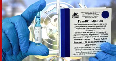 Сергей Лавров - Сумия Сваминатан - В ВОЗ рассказали, когда организация может одобрить вакцину "Спутник V" - profile.ru