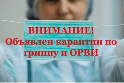 Карантинные меры в Костромской области местным властям приходится объявлять не только из-за COVIDа - kostroma.mk.ru - Костромская обл.