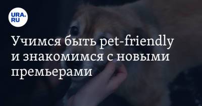 Учимся быть pet-friendly и знакомимся с новыми премьерами - ura.news