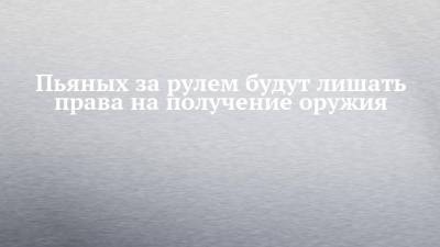 Марат Хуснуллин - Пьяных за рулем будут лишать права на получение оружия - chelny-izvest.ru - Россия