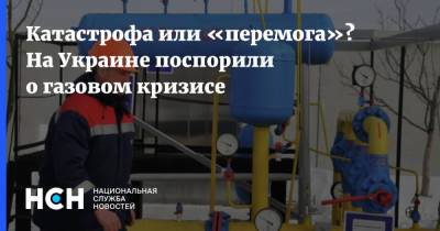 Александр Дудчак - Катастрофа или «перемога»? На Украине поспорили о газовом кризисе - nsn.fm - Украина