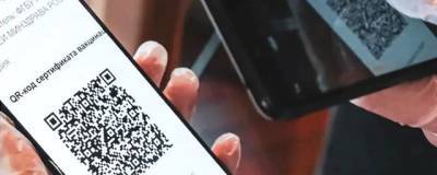 Новосибирцы после новости о введении QR-кодов поделились мнениями «за» и «против» - runews24.ru - Новосибирск - Новосибирская обл.