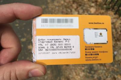 В Саратове появился новый вид мошенничества: на него поведутся самые жадные - saratov.mk.ru - Саратов