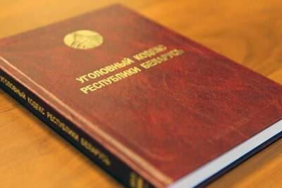 Александр Лукашенко - В Белоруссии многодетного отца задержали за оскорбления Лукашенко в интернете - lenta.ru - Белоруссия - Польша
