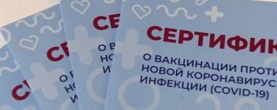 При посещении общественных мест Хакасии нужно предъявить «ковидный» документ и паспорт - runews24.ru - респ. Хакасия