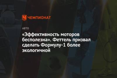 Себастьян Феттель - «Эффективность моторов бесполезна». Феттель призвал сделать Формулу-1 более экологичной - championat.com